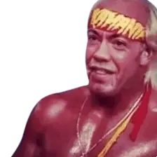 Gabe's face on hulk hogan